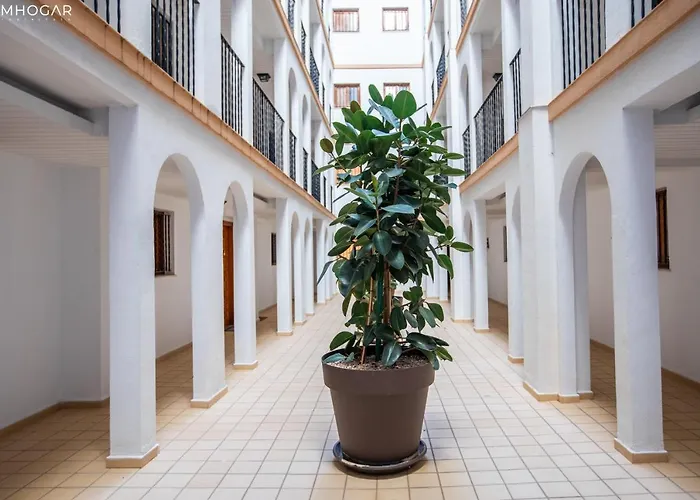 公寓 Cozy With The Mountain View 5 Min To The *