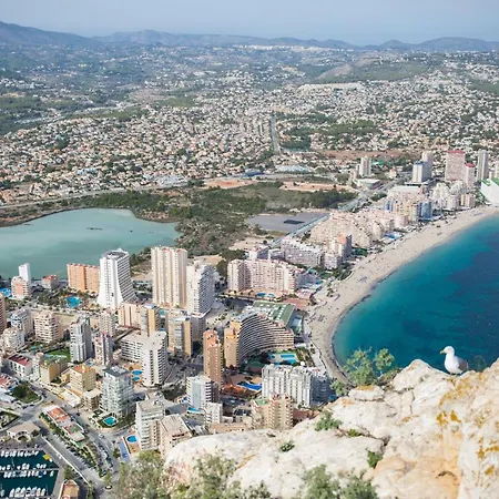 Cozy With The Mountain View 5 Min To The 아파트 *